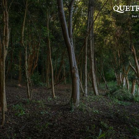 Quetrihue Panzió Puerto Varas Kültér fotó