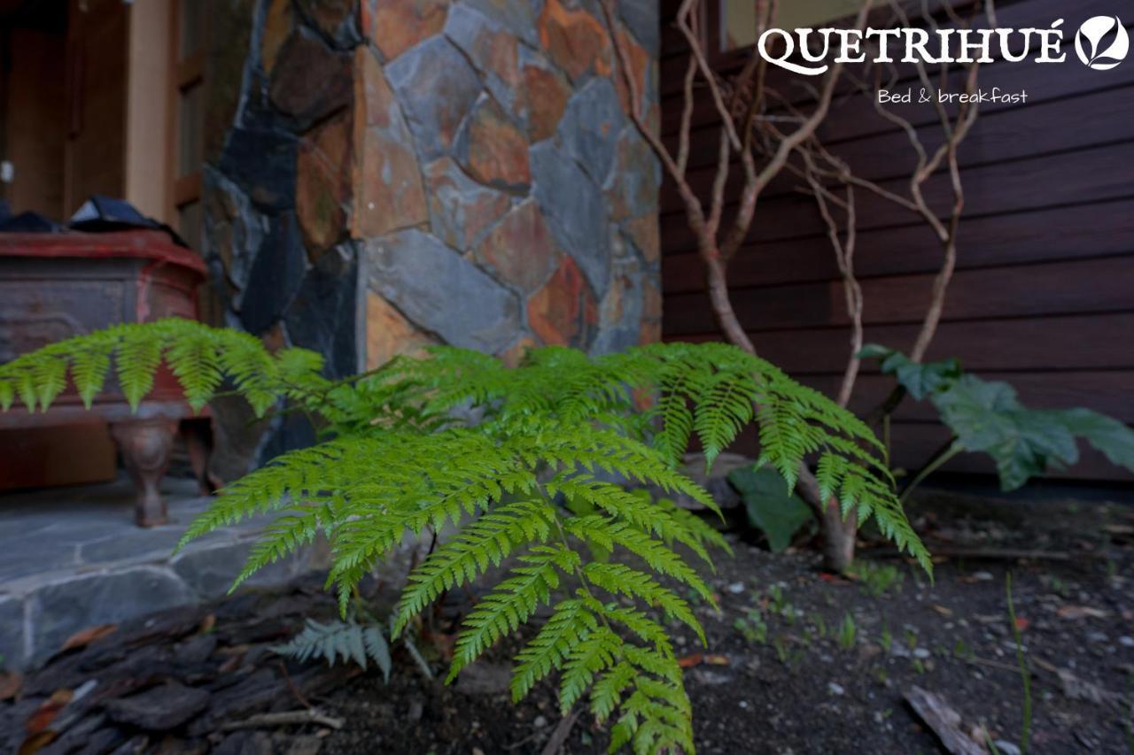 Quetrihue Panzió Puerto Varas Kültér fotó