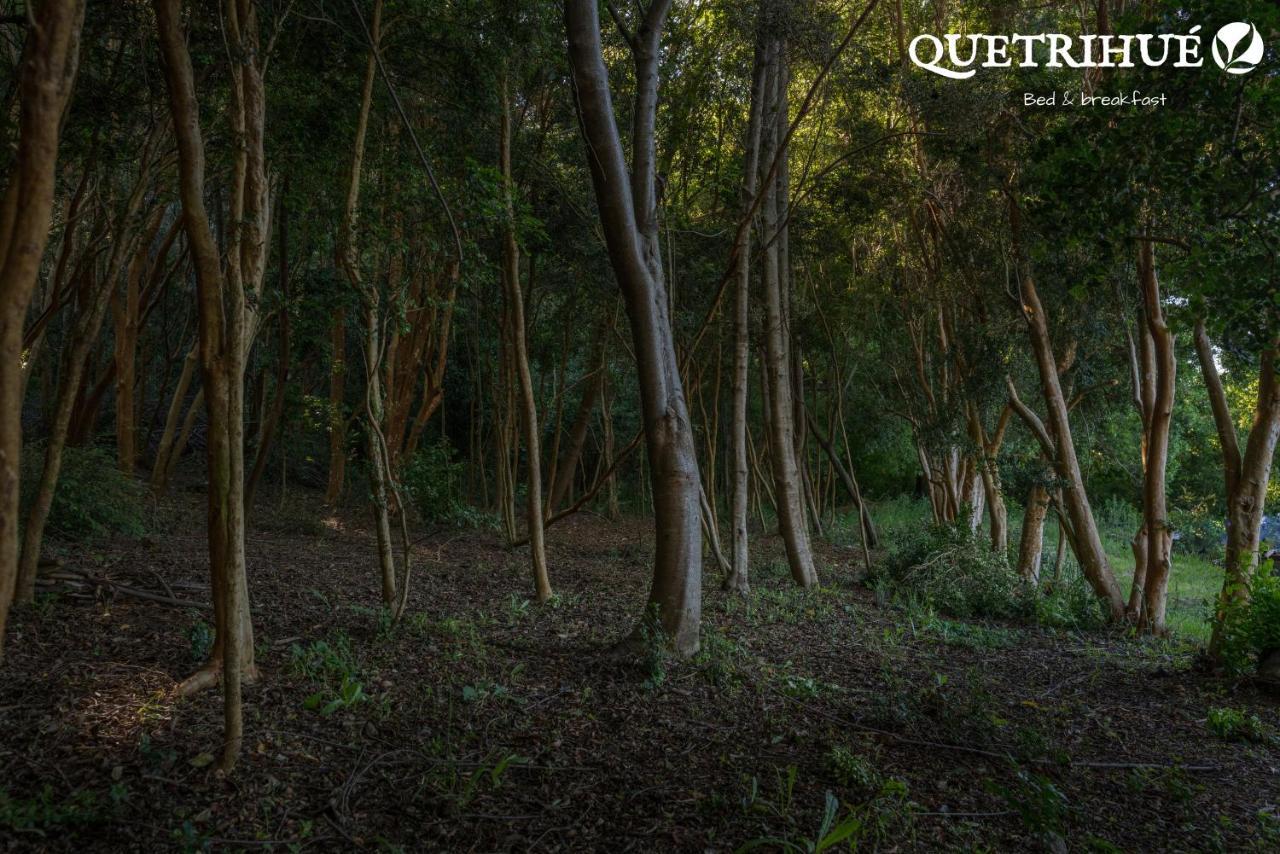 Quetrihue Panzió Puerto Varas Kültér fotó